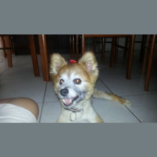 Photo of Ralph
