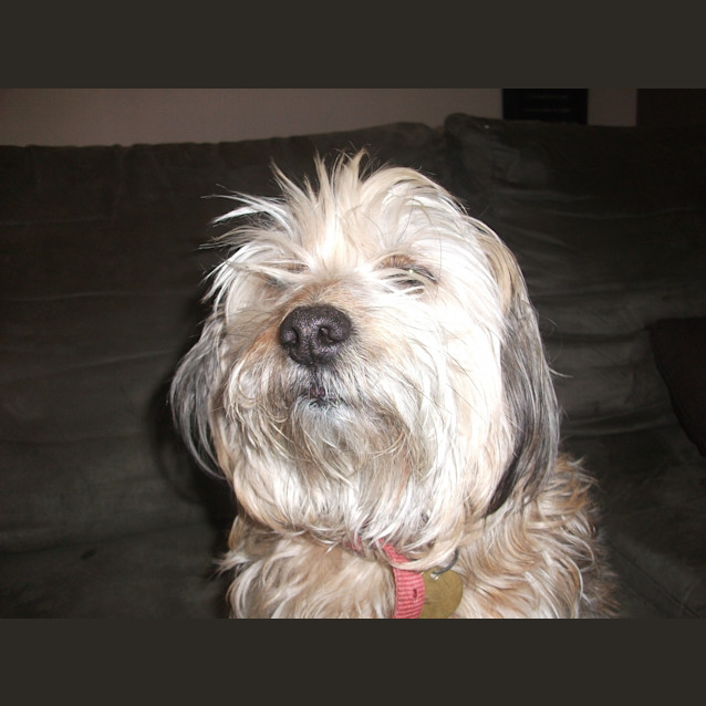 Photo of Susie