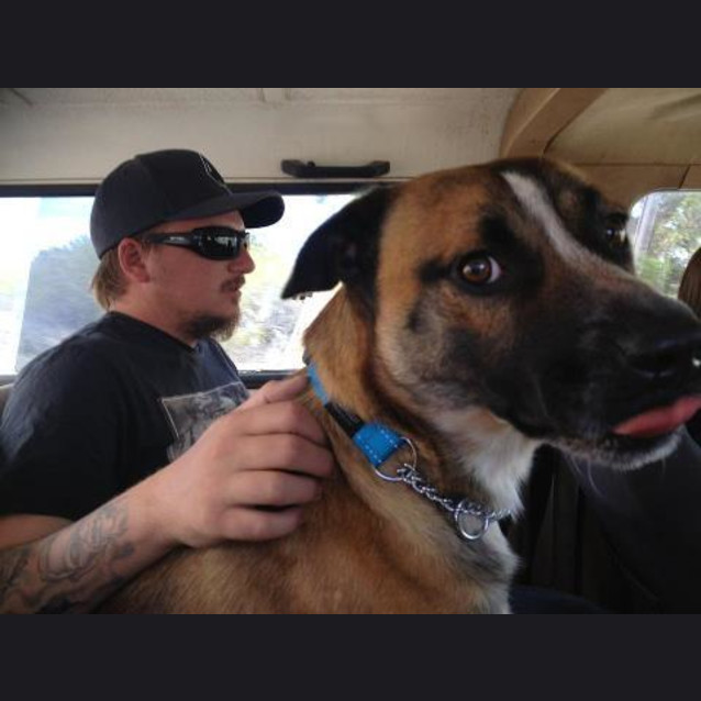 Photo of Driver  Smart And Cuddly Foster Or Adopt!