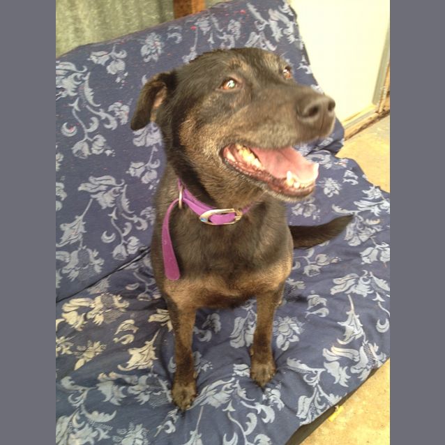 Photo of Merry