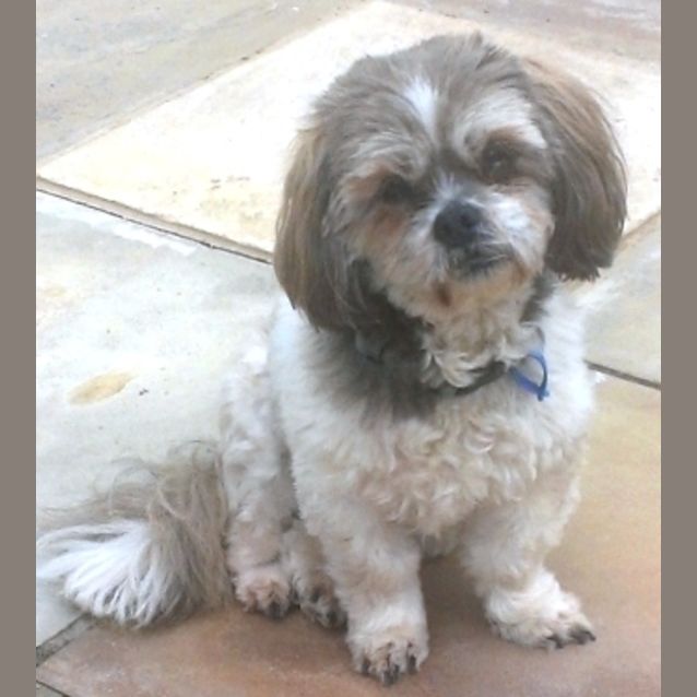 Photo of Pepa