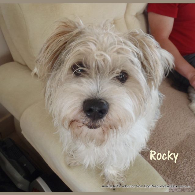 Photo of Rocky