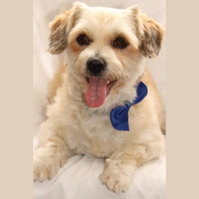 Photo of Fonzie
