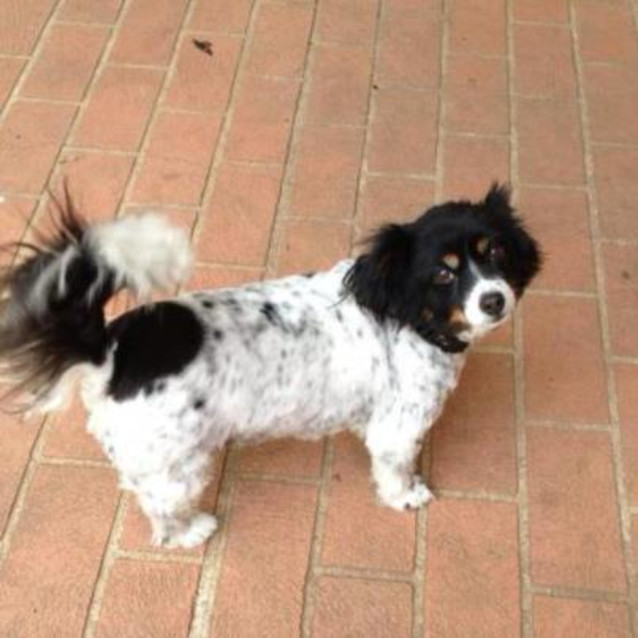 Photo of Roxy