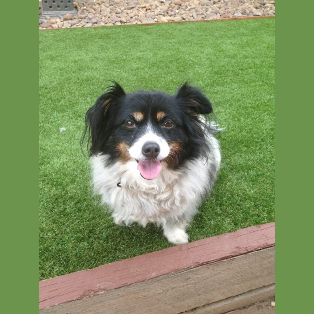 Photo of Roxy