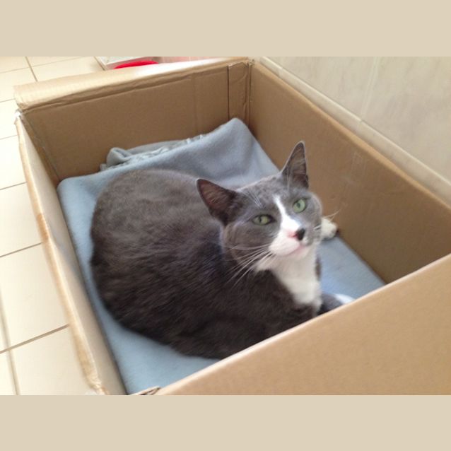 Photo of Fergus