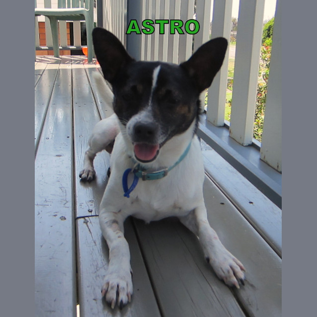 Photo of Astro (On Trial 13/1/13)