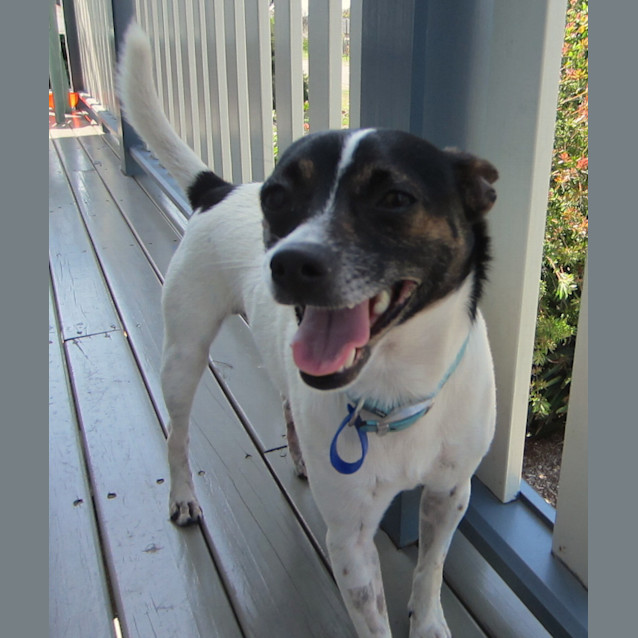 Photo of Astro (On Trial 13/1/13)