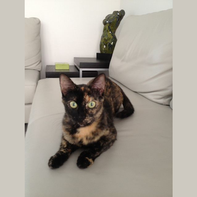 Photo of Storm