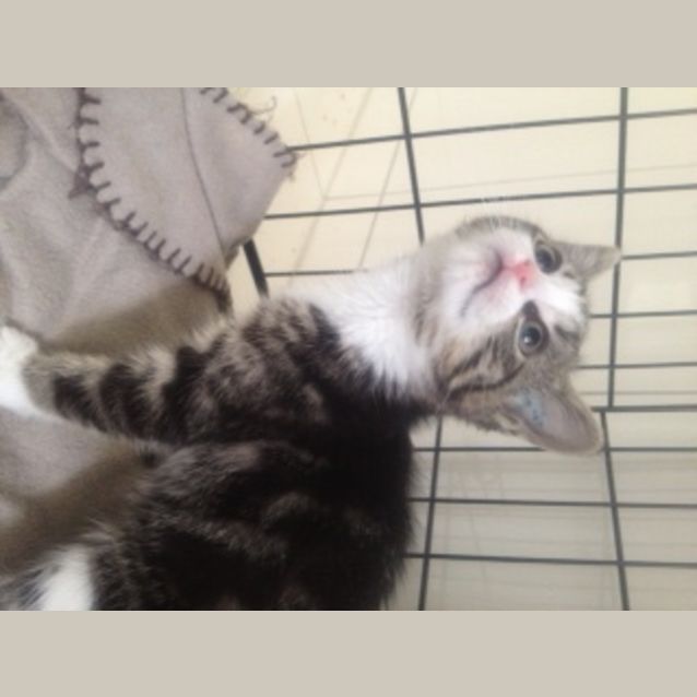 Photo of Nellie
