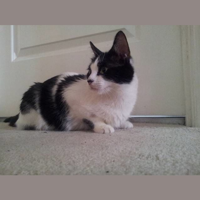 Photo of Cutie