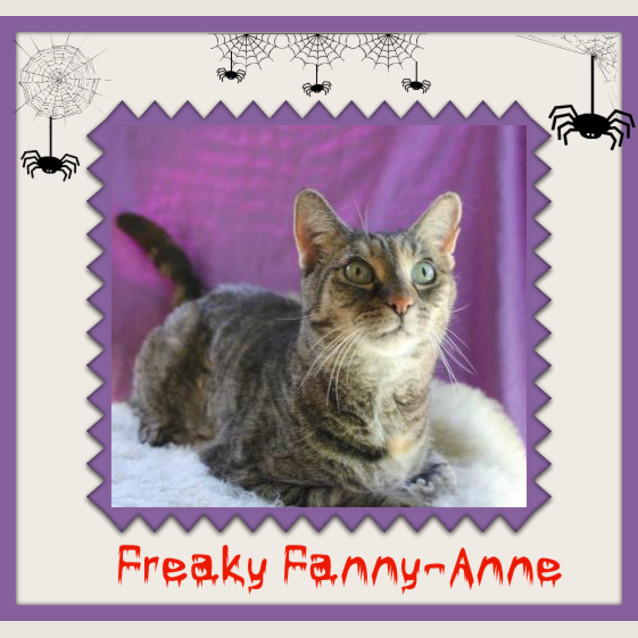 Photo of Fanny Anne