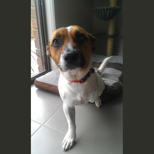 Photo of Kujo