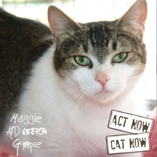Photo of Maggie