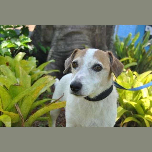 Photo of Jet