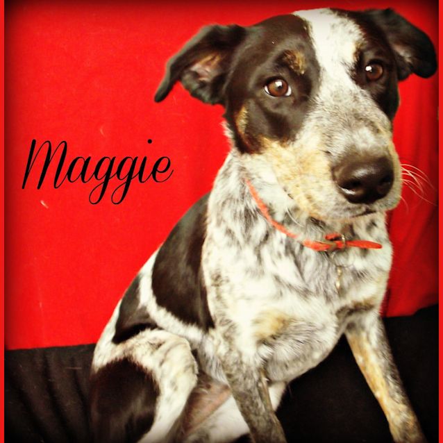 Photo of Maggie