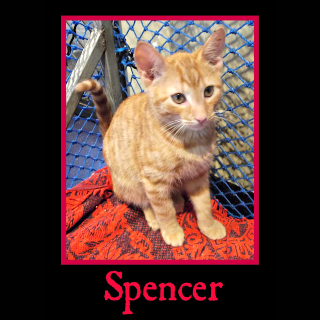 Photo of Spencer