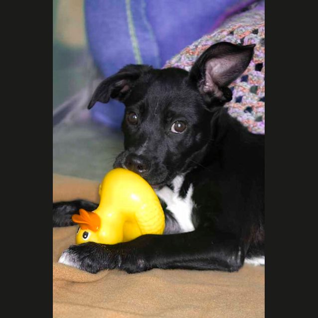 Photo of Chloe