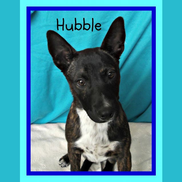 Photo of Hubble