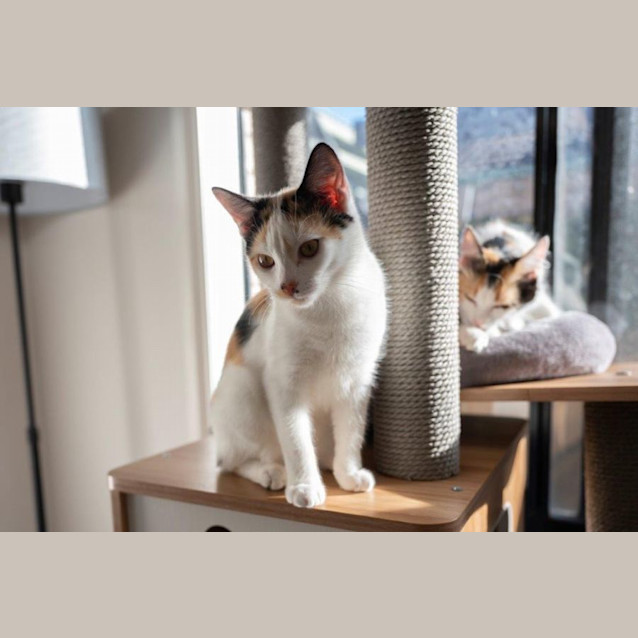 Photo of Cherry Overton