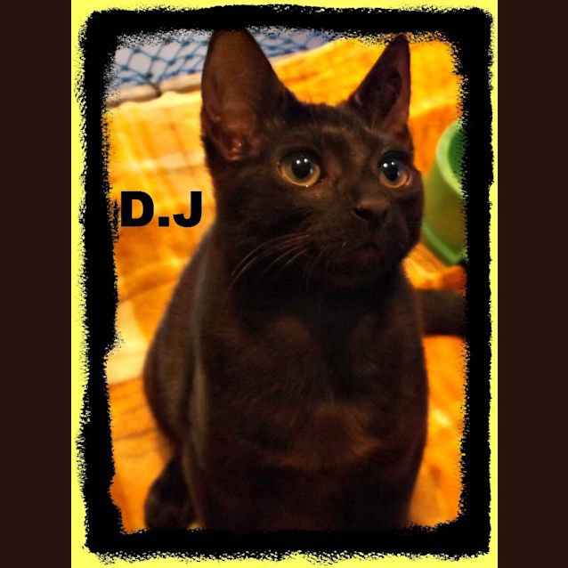 Photo of D.J