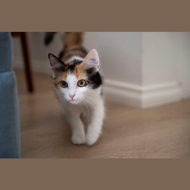 Photo of Raisin Overton