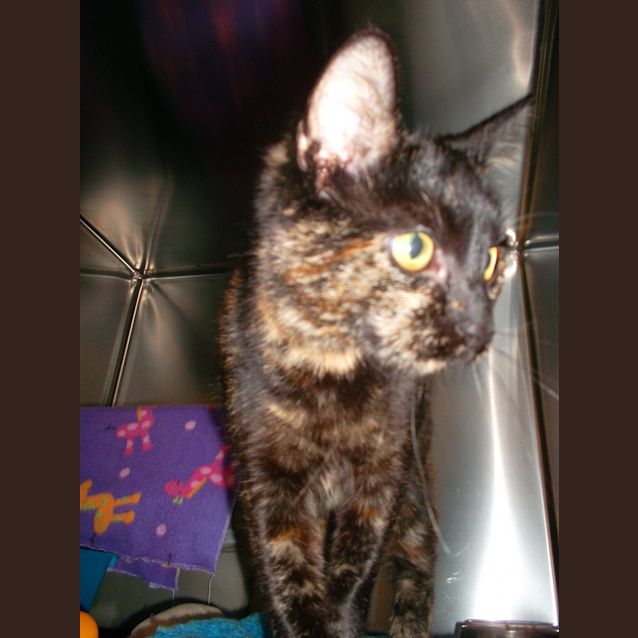 Photo of Gerty