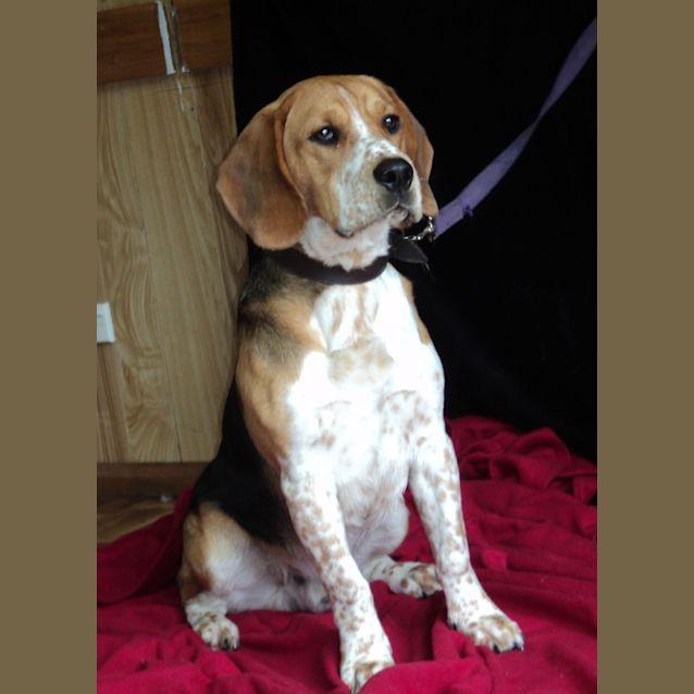 Photo of Charlie