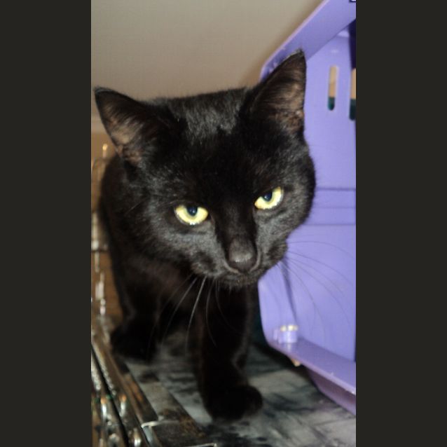 Photo of Vinnie