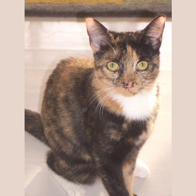 Photo of Mia