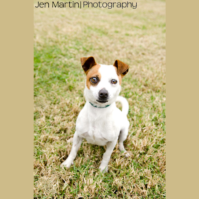 Photo of Marty
