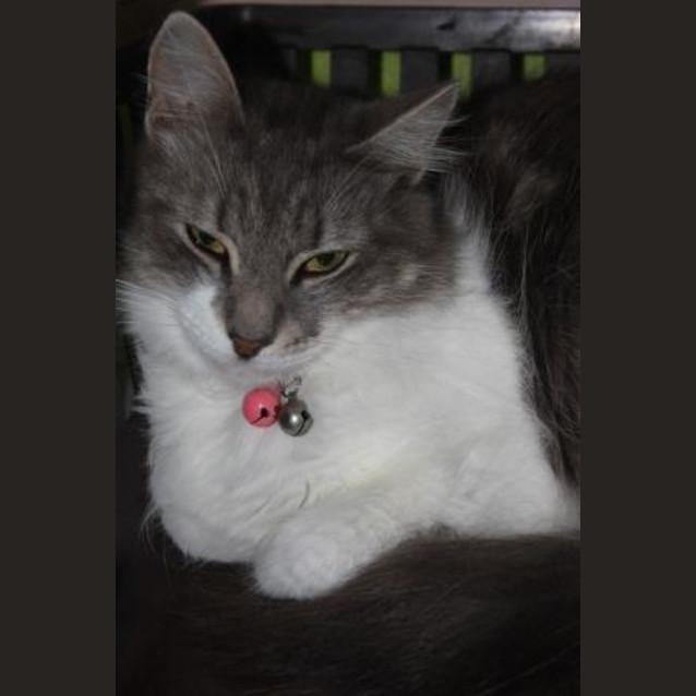 Photo of Mistress