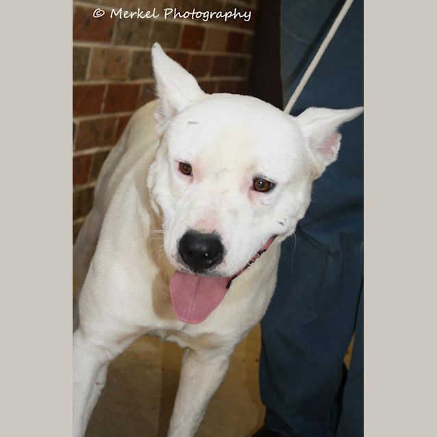 Photo of Casper
