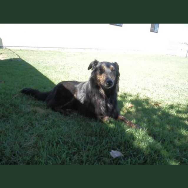 Photo of Jack