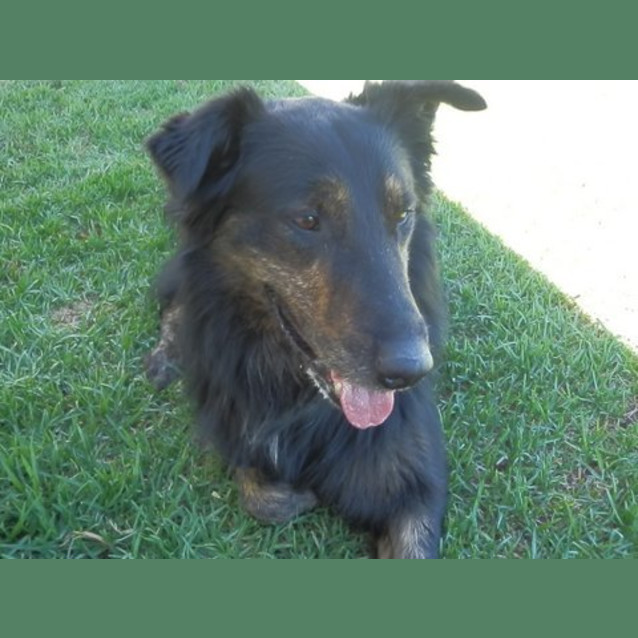 Photo of Jack