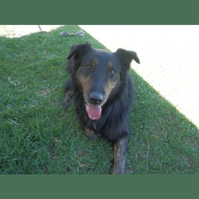 Photo of Jack