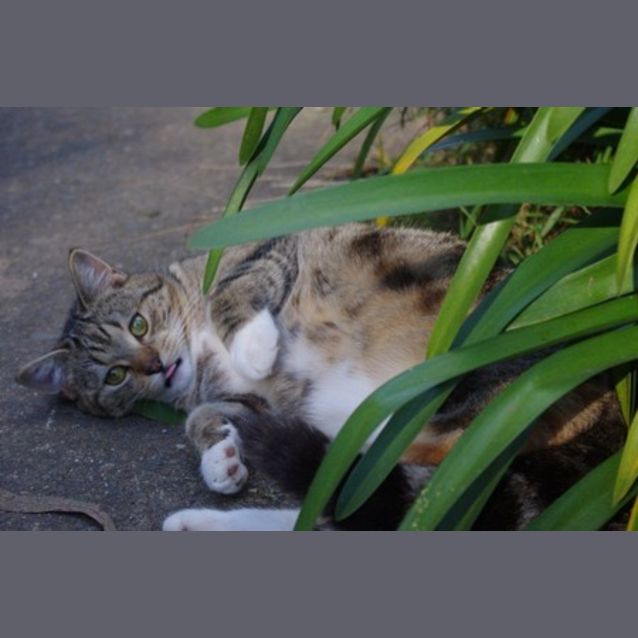 Photo of Samara *Expressions Of Interest*