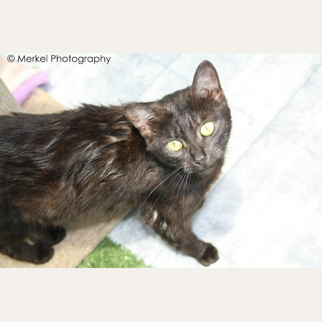 Photo of Mumma Holly