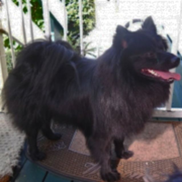 Photo of Boots