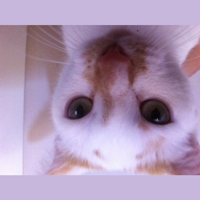 Photo of Crystal