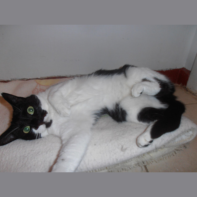 Photo of Monty
