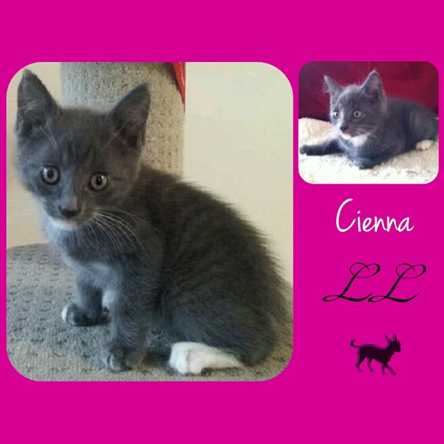 Photo of Cienna