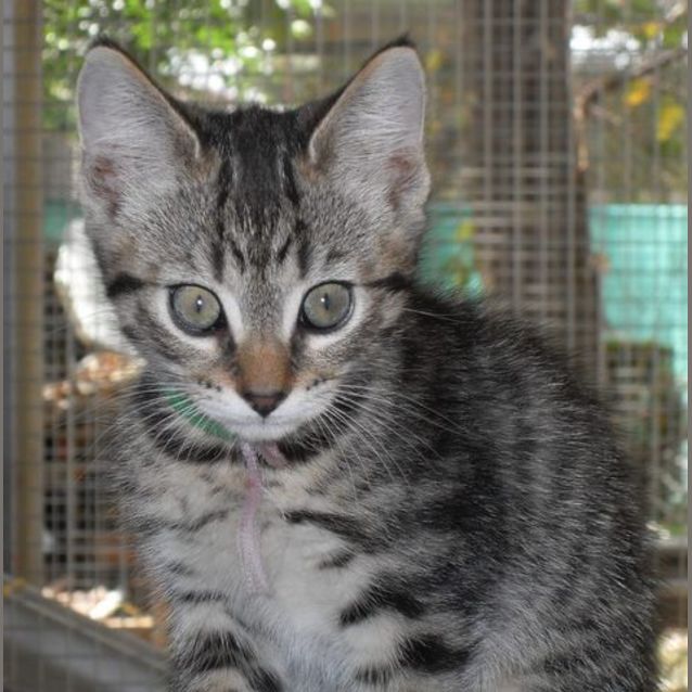 Photo of Jasmine