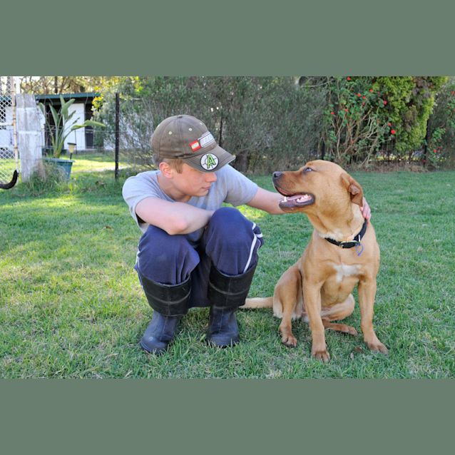 Photo of Sunny (On Trial 17/1/13)