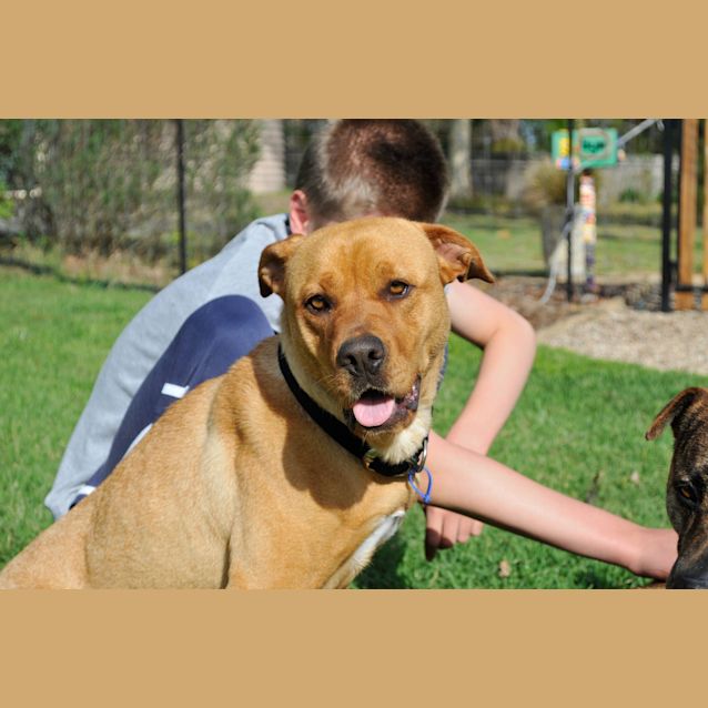 Photo of Sunny (On Trial 17/1/13)