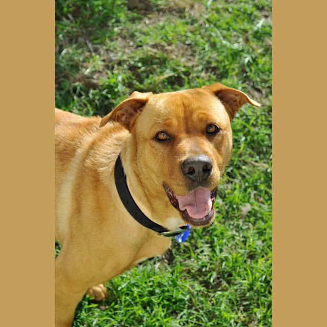 Photo of Sunny (On Trial 17/1/13)