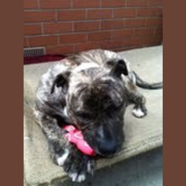 Photo of Axel ,,,, Awesome...And Cuddly Too...