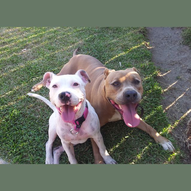 Photo of Lacey