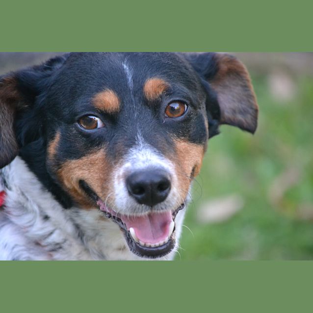 Photo of Mack