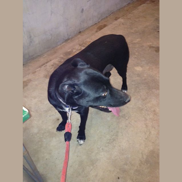 Photo of Lucy